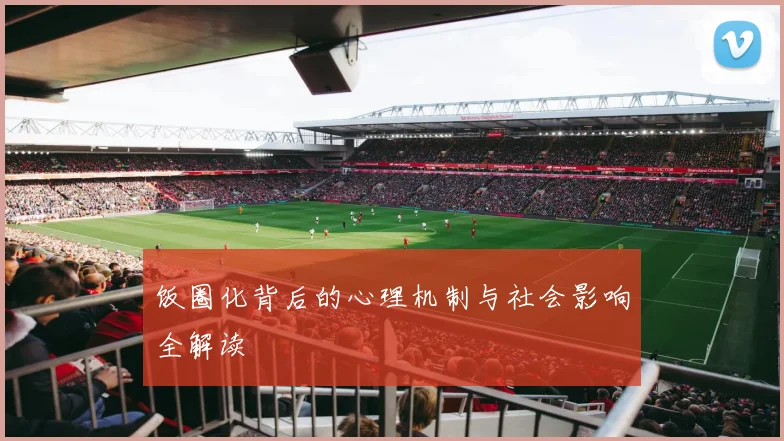 饭圈化背后的心理机制与社会影响全解读
