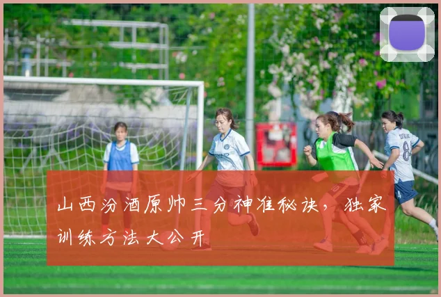 山西汾酒原帅三分神准秘诀,独家训练方法大公开